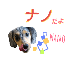 [LINEスタンプ] nano kitchen