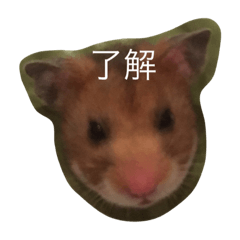 [LINEスタンプ] hamsters greetings