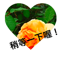 [LINEスタンプ] Flowers my love