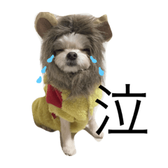 [LINEスタンプ] pretty dog coco purin