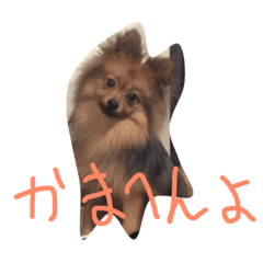 [LINEスタンプ] こまちすたんぷその3