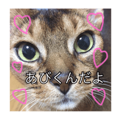 [LINEスタンプ] あびるtoかうる