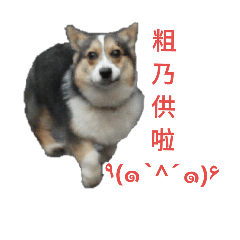 [LINEスタンプ] mawancorgi