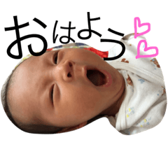 [LINEスタンプ] 草苅家のこたちゃん