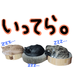 [LINEスタンプ] 猫屋敷の住人