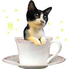 [LINEスタンプ] Potted Cat ＆ Cup Cat Family