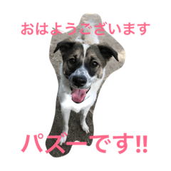 [LINEスタンプ] パズーのきもち