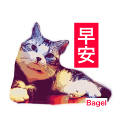 [LINEスタンプ] Bagel Lee -daily use