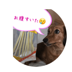 [LINEスタンプ] dog.mouse