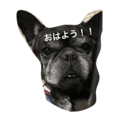 [LINEスタンプ] アンリくん