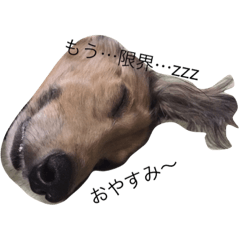 [LINEスタンプ] うちの犬様うるさん