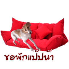 [LINEスタンプ] my dog#01