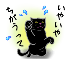 [LINEスタンプ] 黒猫NOAの日常会話