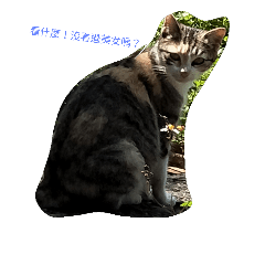 [LINEスタンプ] My  Hamster ＆ Cat