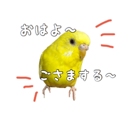 [LINEスタンプ] inkonokiiro