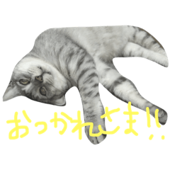 [LINEスタンプ] Mr.LEOCAT