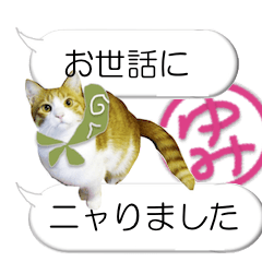 [LINEスタンプ] ゆみちゃんのハンコ入りしゃべるネコちゃんの画像（メイン）