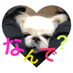 [LINEスタンプ] まめ子ラブ