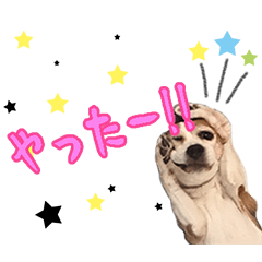 [LINEスタンプ] KIYOREO