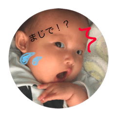 [LINEスタンプ] しゅのんのスタンプ