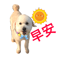 [LINEスタンプ] happy poodle kaka