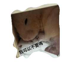 [LINEスタンプ] Hamster sprouting bear