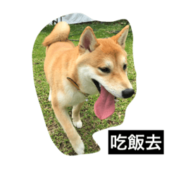 [LINEスタンプ] Whisky Shiba