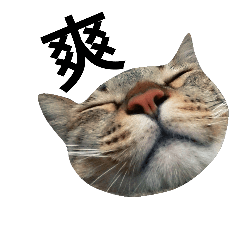 [LINEスタンプ] Lee cats