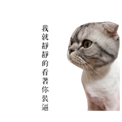 [LINEスタンプ] miss cat u