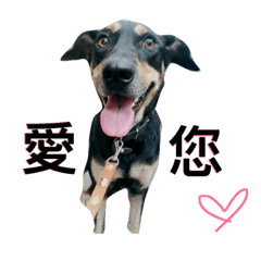 [LINEスタンプ] abao dog