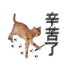 [LINEスタンプ] Reiki cat -Some words want to say