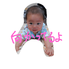 [LINEスタンプ] baby appointment  stamp