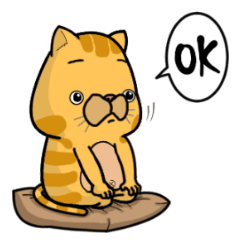 [LINEスタンプ] Yo-Hu Exotic Shorthair Cat