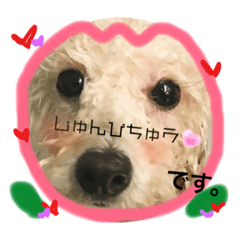 [LINEスタンプ] れみれむ