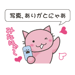 [LINEスタンプ] にゃあ君の日常