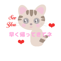 [LINEスタンプ] 猫のチャオティーの日常会話