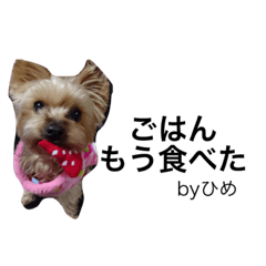 [LINEスタンプ] ひめとまろん