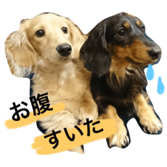 [LINEスタンプ] のわーる