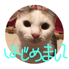 [LINEスタンプ] おぶす