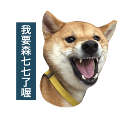 [LINEスタンプ] happyShibadog