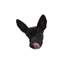 [LINEスタンプ] Black Dog DUDU