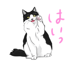 [LINEスタンプ] ノルウェージャンフォレストのハナ2