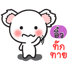 [LINEスタンプ] Aiew : Koala Version