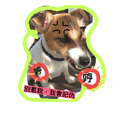 [LINEスタンプ] Jack Russel sugar part2