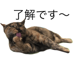 [LINEスタンプ] サビ猫ミーナス。