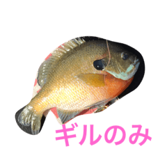 [LINEスタンプ] バスフィッシング琵琶湖3