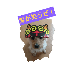 [LINEスタンプ] ココのつぶやき