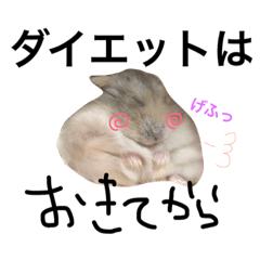 [LINEスタンプ] はむじゃっく わーるど