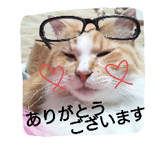 [LINEスタンプ] りゅうと愉快な仲間たち