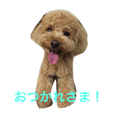 [LINEスタンプ] 末っ子りんくん